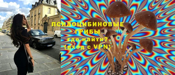 прущая мука Михайлов